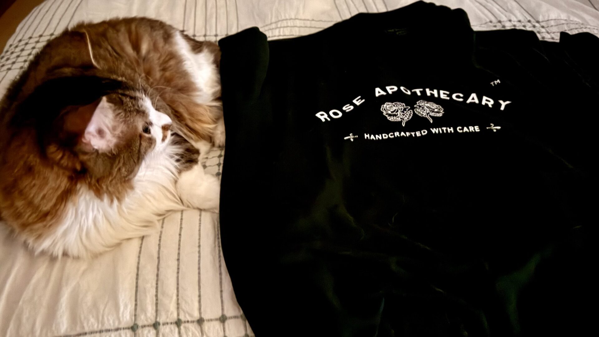Rose Apothecary T-shirt