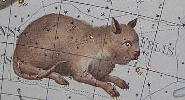 Felis (constellation), Johann Bode, Public domain, via Wikimedia Commons. Fleet Robinson.